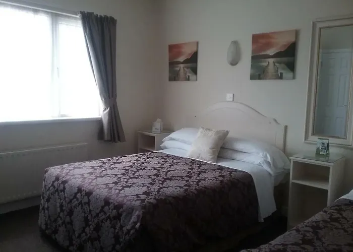 The Meadows 莫纳汉